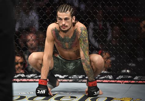 Contact information for aktienfakten.de - Aug 20, 2023 · Sean O'Malley backed up all the pre-fight talk at UFC 292 on Saturday night when he sent bantamweight champion Aljamain Sterling crashing into the mat for a TKO win in Round 2 of their main event ... 
